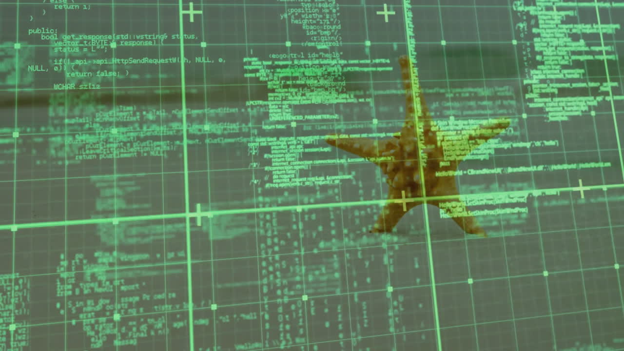 Starfish animation overlaid with digital code and grid interface in school setting