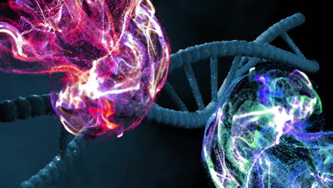 dna strand with colorful molecular structures, scientific data processing animation