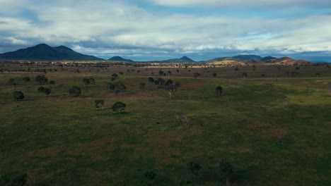 Amplia-área-De-Pastos-De-Sabana-En-El-Interior-De-Queensland,-Australia,-Con-árboles-Y-Pasto-Verde-Y-Montañas-En-El-Fondo.