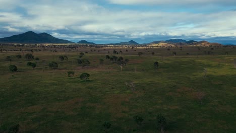 amplia área de pastos de sabana en el interior de queensland, australia, con árboles y pasto verde y montañas en el fondo.