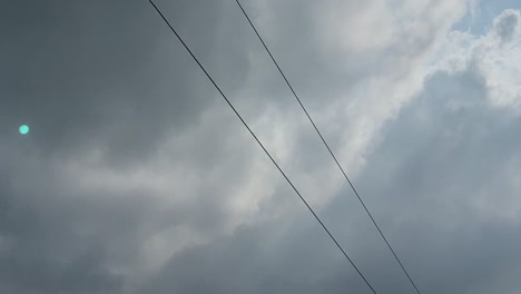 Black-Bird-Perched-On-Wire-And-Flying-Away