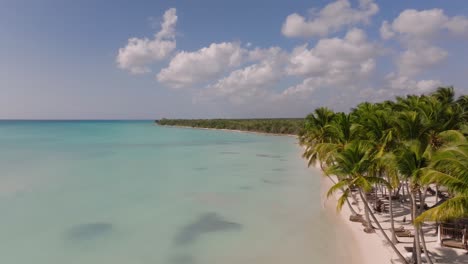 establishing drone shot of a exotic beach on the south coast of dominican republic