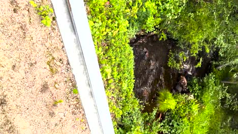 hombre caminando descalzo en la naturaleza, tiro de mano pov