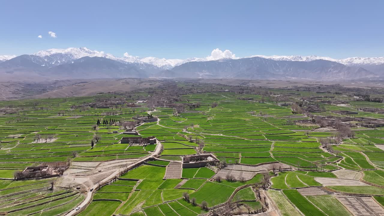 Afghanistan Drone Aerial over Nangahar, Nuristan, Panorama Of Lush Green, Terraced farm Fields With Hindu Kush Mountains In The Distance at Clear Blue Sky. - aerial shot