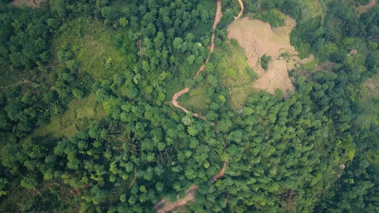 una toma aérea mirando hacia las venas del río en una jungla vietnamita
