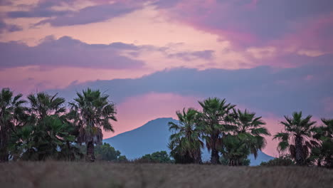 paisaje nublado sobre montañas y palmeras tropicales.