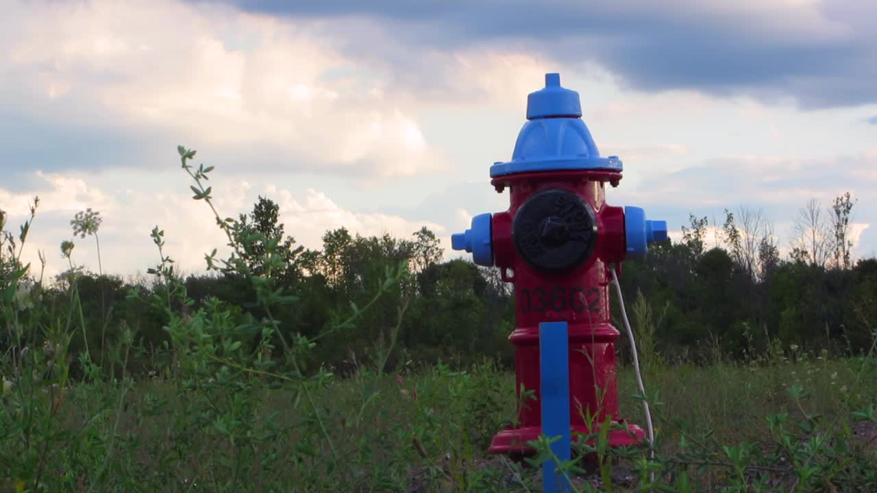 Red and Blue Fire Hydrant in a Field