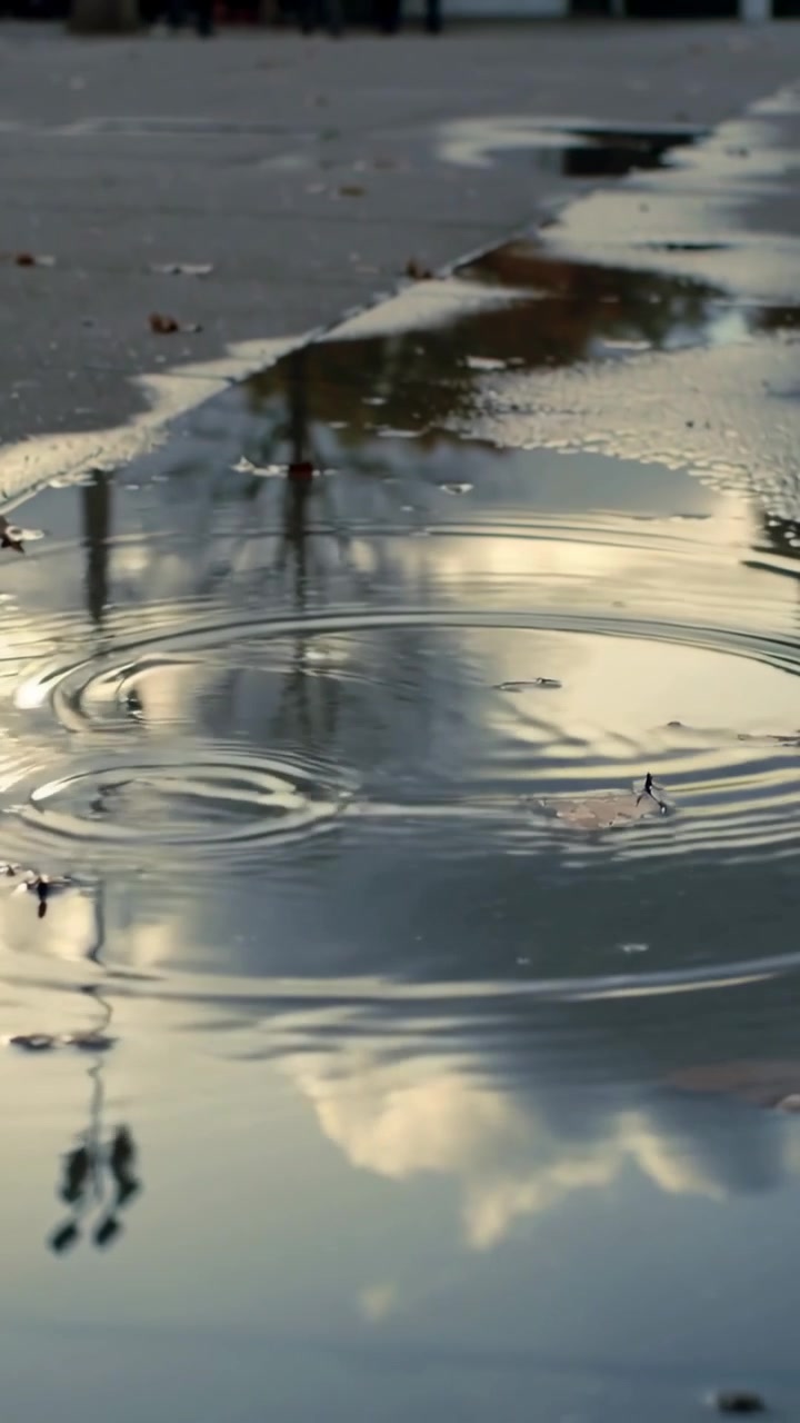 Vertical video: Rippling low puddle making rings from rain on wet curb, lamp, leaves drifting
