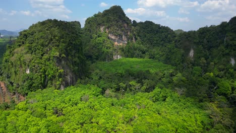 Die-Straße-Führt-Durch-Einen-üppigen-Grünen-Wald,-Umgeben-Von-Hohen-Kalksteinfelsen-In-Einer-Tropischen-Landschaft