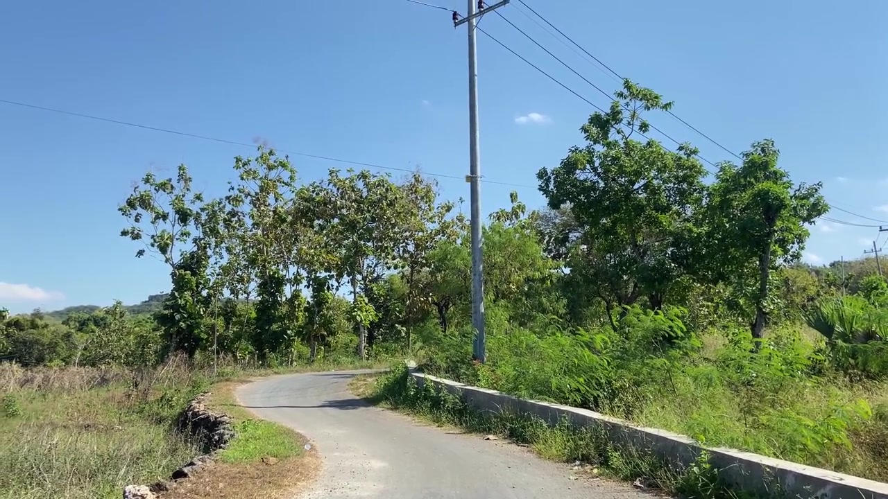 Peaceful Winding Road Through Green Trees and Blue Sky