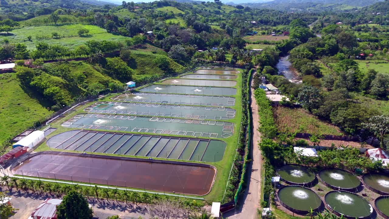 Aerial establish different fish breeding tanks, fish farm in rural landscape