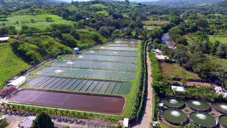 aerial establish different fish breeding tanks, fish farm in rural landscape