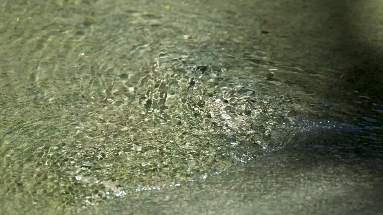 Gambar diam dari sudut tinggi, sinar matahari memantul pada riak air dangkal yang jernih di anak sungai alami.