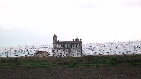 Cuervos-Dando-Vueltas-Deprimente-Frente-A-Una-Iglesia-Católica-En-Ruinas-&quot;ermida-De-Nossa-Senhora-De-Alcame&quot;-En-Lisboa-En-Medio-De-Un-Campo-Sembrado-Por-La-Noche