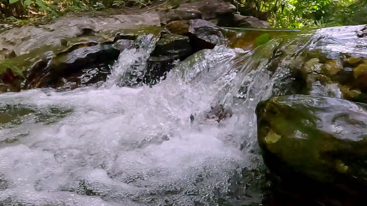 Clear wilderness stream flowing rapidly over mossy rocks in a lush jungle setting. Nature background with fast-moving water in tropical forest environment. Slow motion scene