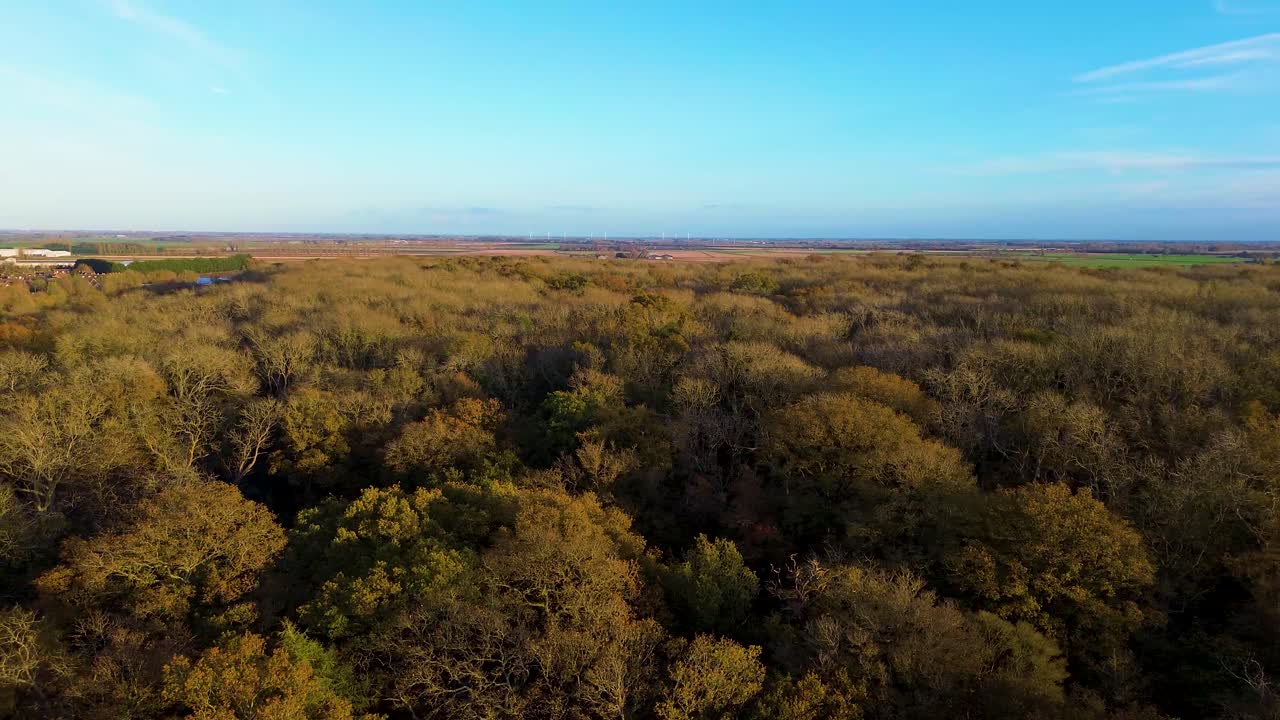 A wide aerial view of the UK countryside at sunset, with rolling green fields and a distant tree line under a warm golden sky