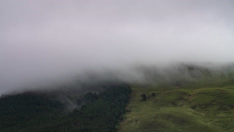 thick clouds roll over forest