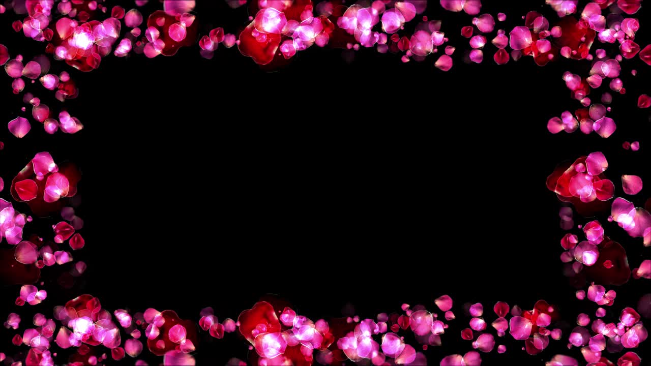 Abstract saint valentines day Pink rose petals loop background.