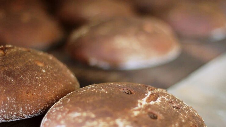 Food processing plant. Rye bread production line. Manufacturing process