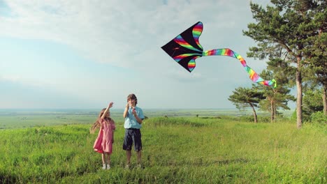 caucasian teen boy and his little sister in the park while they are flying a kite on a sunny day