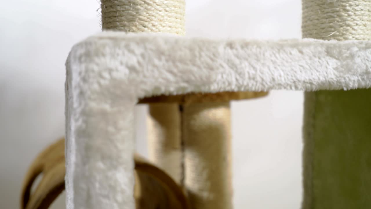 área de juegos interior para gatos y gatitos en la sala de estar. rascadores de condominios para gatos