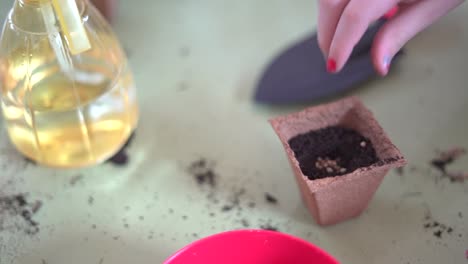 young children learning how to plant seeds in garden