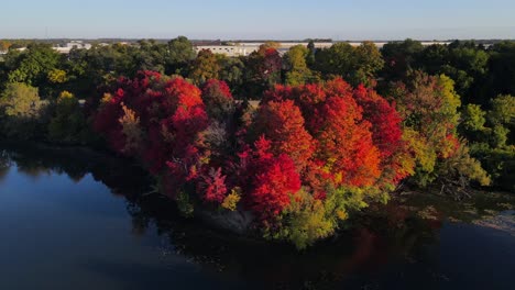 drone over red trees fall colors lake in michigan