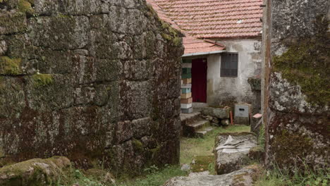 small path in the middle of a rural village