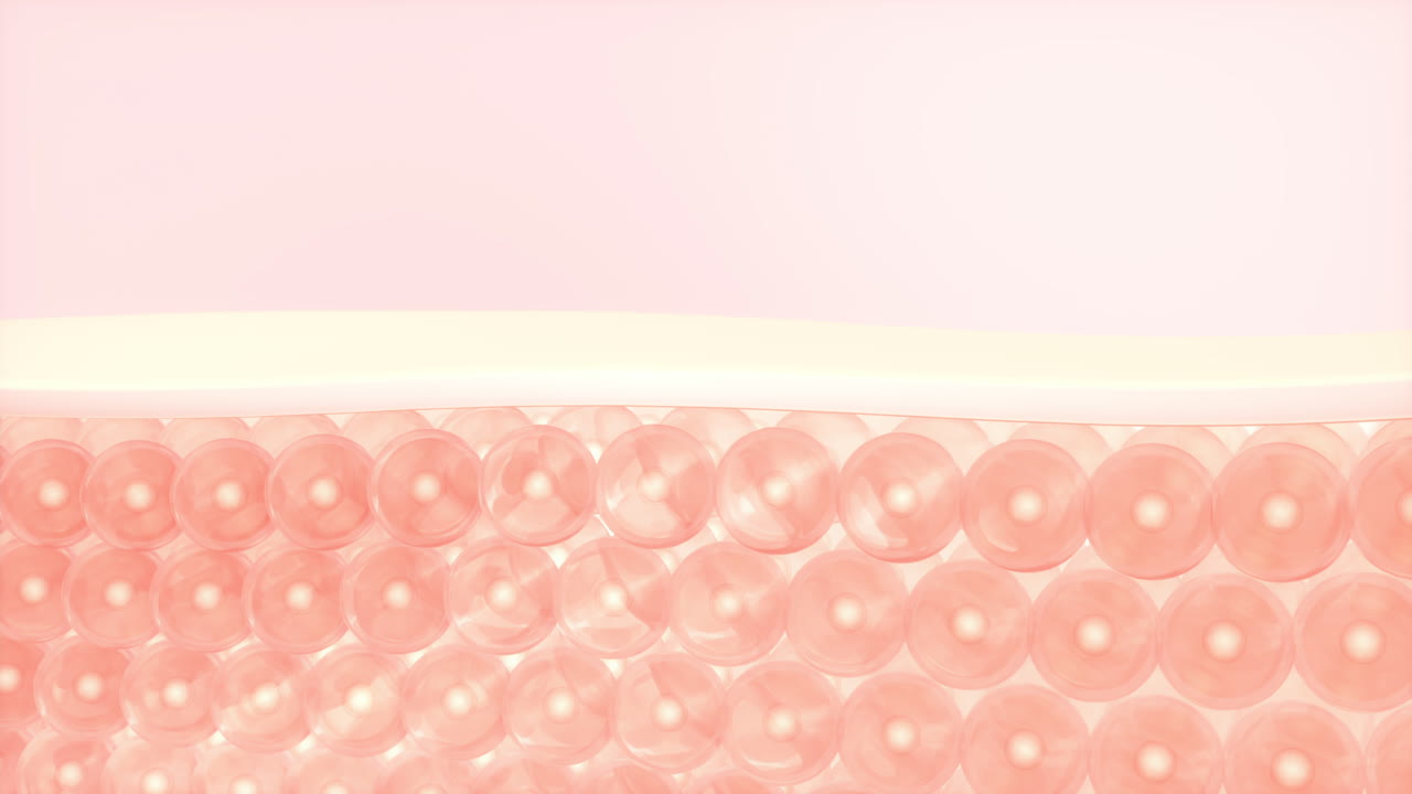 피부 세포가 혈청을 흡수하는 3d 렌더링