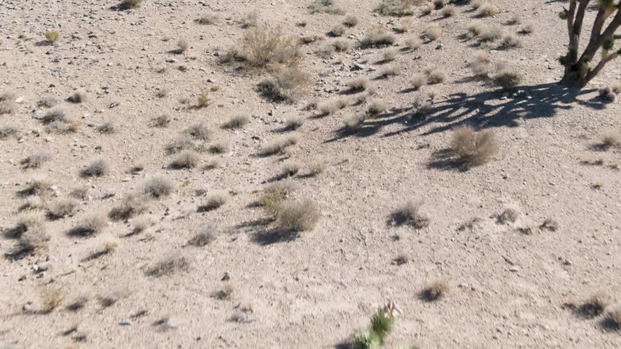 abajo frente a antena de baja altitud sobre tierra desértica seca cubierta de arbustos, rocas, arena y cactus en el desierto de mojave