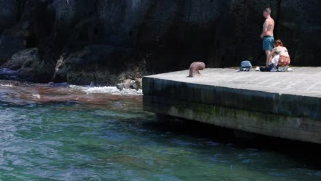 hombre y niño en el muelle en sorrento