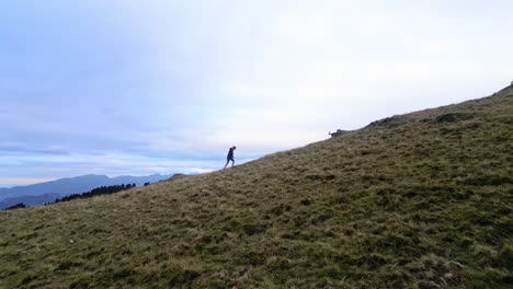 Drohnenaufnahme-Einer-Frau-Und-Ihres-Hundes,-Die-Auf-Der-Spitze-Einer-Bergkette-Spazieren-Gehen,-Mit-Blick-Auf-Die-Bergkette-Und-Die-Kühe-Dahinter