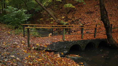 autumn stone bridge in the forest