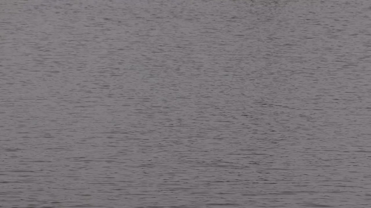 The Spree, calm grey water surface amidst Berlin