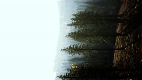 Vertikales-Format-Einer-Nebligen-Bergwaldlandschaft-Am-Morgen