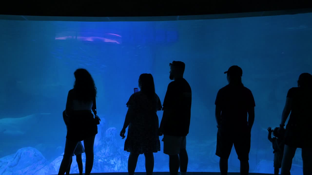 Silhouetted figures admiring a large aquarium tank