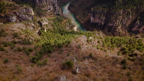 green river flows through steep canyon forest between lozère and aveyron