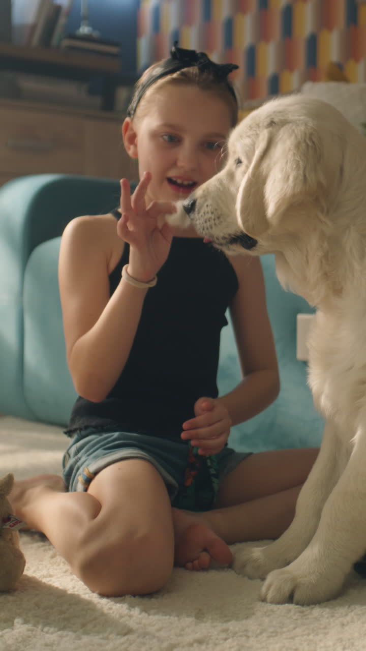 Girl Playing with Golden Retriever Puppy