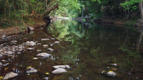 Panorámica-Río-Arriba-Para-Ver-El-Hermoso-Arroyo-Y-El-Reflejo-De-Los-árboles-En-El-Agua