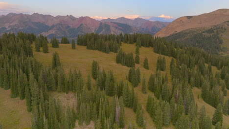 Flyover-trees-and-hiking-trail-atop-a-ridge-in-the-Rocky-Mountains-in-Colorado-on-a-beautiful-day