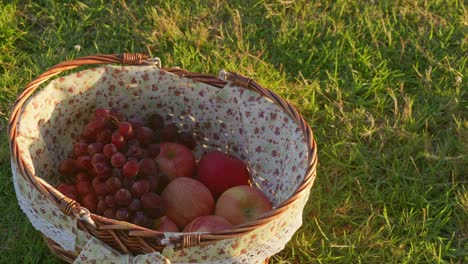 Toma-Panorámica-De-Derecha-A-Izquierda-De-Uvas-Y-Manzanas-En-Una-Canasta-De-Picnic.