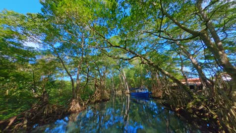 Idyllic-drone-flight-over-tranquil-Gri-Gri-Lagoon-with-crystal-clear-water-and-growing-mangrove-trees-on-river-shore---Puerto-Plata,Dominican-Republic-in-summer