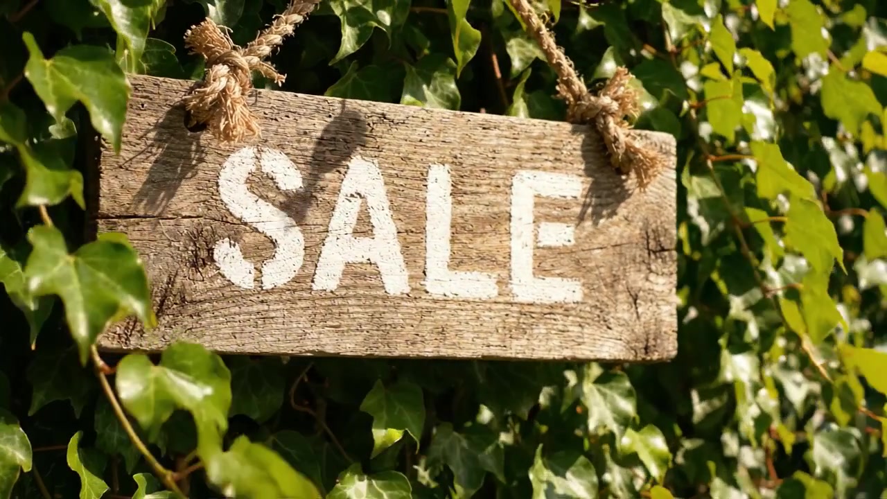 Un cartello rustico che annuncia una vendita, ben visibile tra l'edera verde lussureggiante, che invita i clienti a esplorare le offerte e le occasioni disponibili