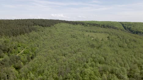 Ukraine-Schöne-Wälder-Bäume-Im-Sommer---Luftflug