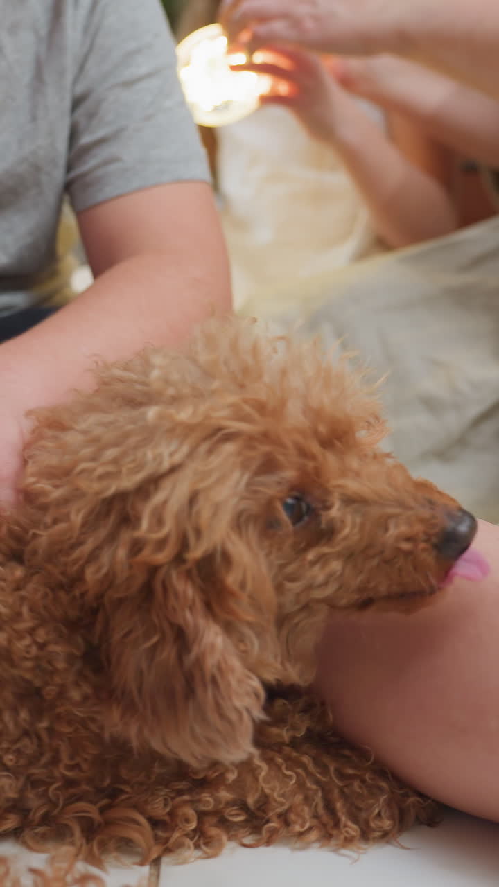 Love shared between dog and boy, Gentle cuddle highlighting bonds between boy and loyal dog friend, Affectionate moment capturing tender connection between young boy and his faithful dog