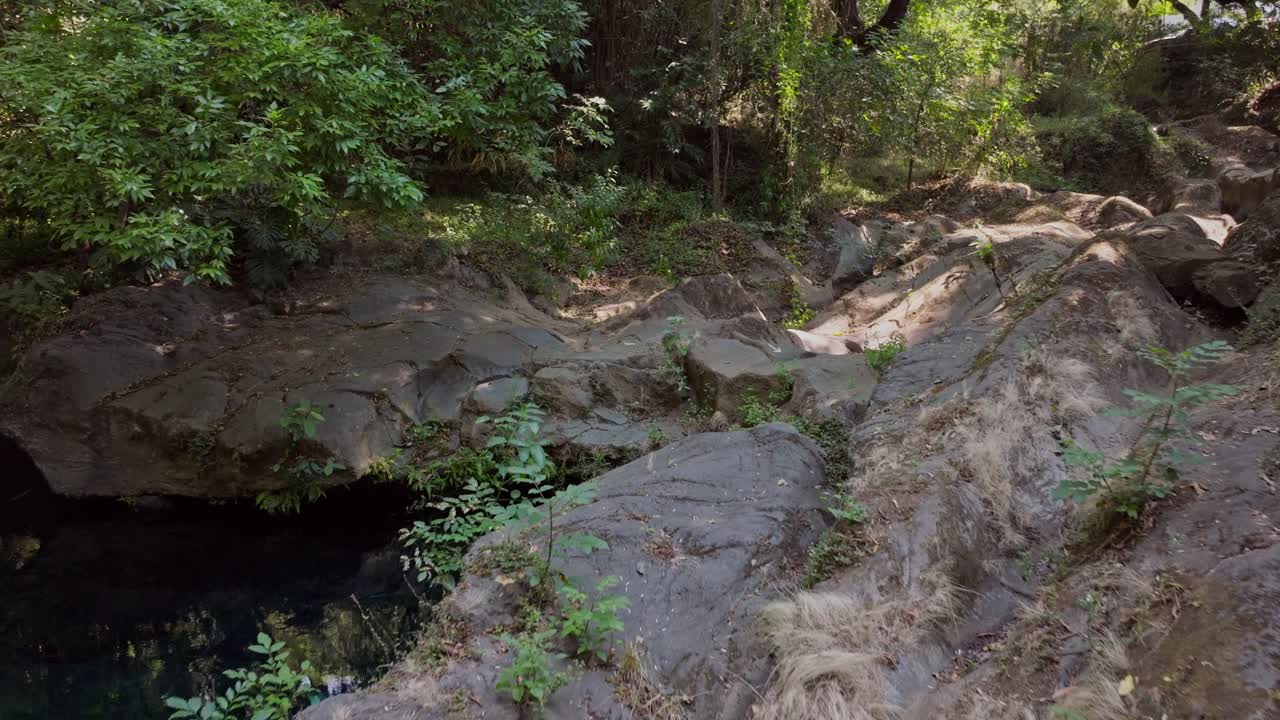 Calm water rests quietly under brown rocks in the lush Barranca del Cupatitzio forest