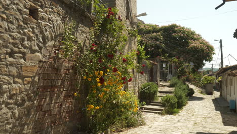 Encantadora-Calle-Adornada-Con-Hermosas-Y-Fragantes-Flores-De-Piedra