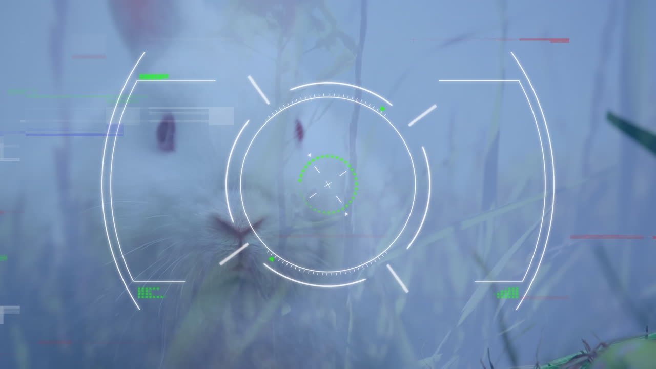 animación del visor sobre el conejo en el prado