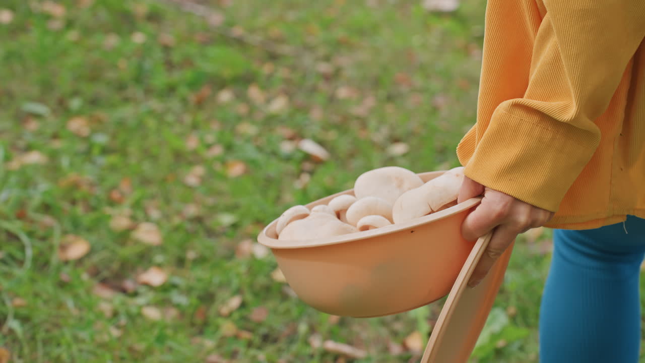 Campeggiatore che tiene una ciotola di funghi mentre cammina attraverso un campeggio erboso, indossa un maglione giallo e leggings blu, porta una spatola di legno, foglie autunnali, tranquilla scena di raccolta per la preparazione del pasto in campeggio