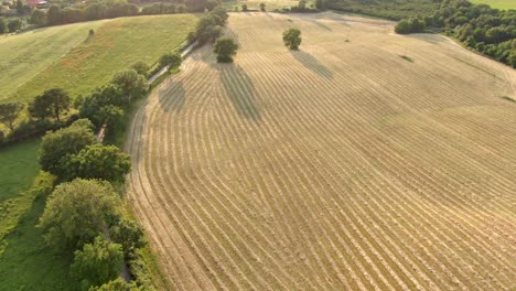 aerial view of road with forest and agriculture crop field on sides